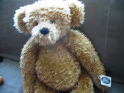 bear red_02